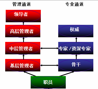 人才招聘2.png 人才招聘2.png